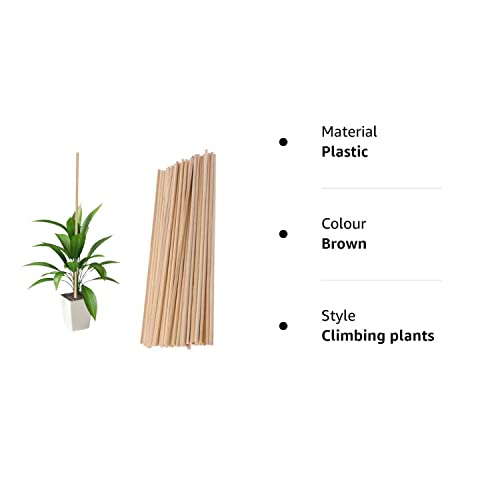 GREENARTZ® Wooden Support Sticks for Plants Creepers Climbers Stem Support Climbing Support for Home (2 Feet, 12)