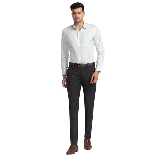 Image of Park Avenue Men's Pure Cotton Checks Pattern Slim Fit Ainsley Collar Full Sleeve Formal Shirt