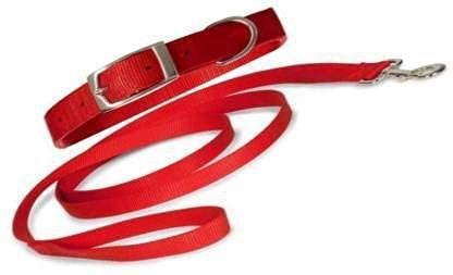 SSM PET MART 1/2 Inch Red Designed Belt for Your Puppy, Cat & Small Dog Collar Belt, Dog Collar & Leash (B09QWXVMRS) Amazon Price History, Amazon Price Tracker