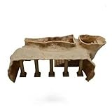 SHINROAD Túnel de cueva de acuario, columna romana bajo túnel de grava, escondite para peces pequeños y camarones, con puertos de visualización para camarones Betta, Corydoras, caqui, S