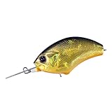 OSP オーエスピー BLITZ-MR ブリッツMR H04 黒金オレンジベリー