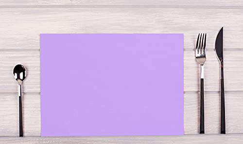 spun bound non-woven placemat, Tear-proof, water-repellent and wipe able fabric, Size 30X40, Made in France - Image 3