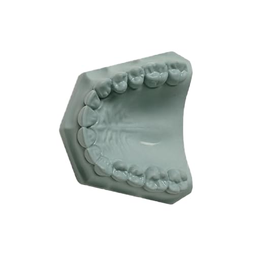 Whip-Mix 330001 Hard Rock Dental Die Stone ISO Type 5 Aqua 33 Lbs 15 Kg