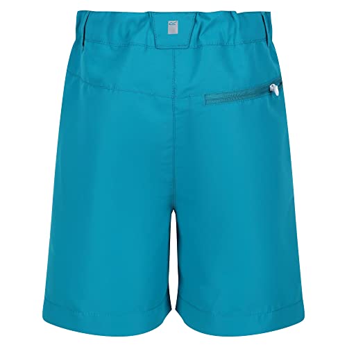 Regatta Sorcer MountShtII Pants, Light