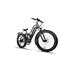 BEECOOL Bee Explorer | Long Range Full Suspension Electric Bike for Adults, 750W Mountain eBike, 80MI Range, 48V 21Ah Battery 26"x4" Fat Tire, 350LBS Payload, 28MPH, 7 Speed (Mysterious Black) #1