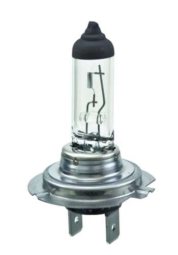 Cornering Light Bulb Compatible With BMW 535i xDrive 2016 2015 2014 2013 2012 2011 P-1539069