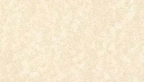 DJP Carta pergamena per certificati, formato A3, 90 g/m², 25