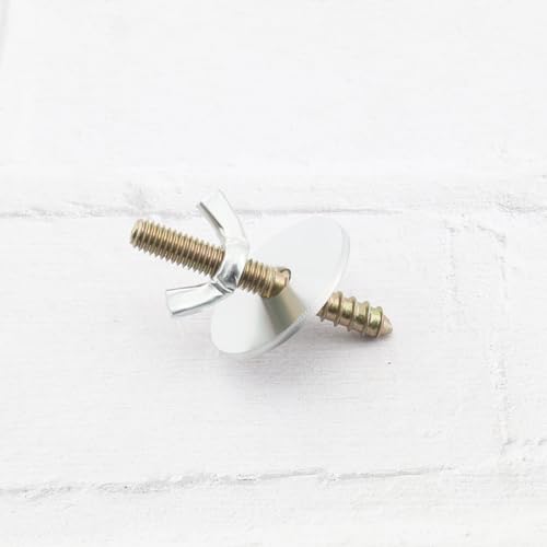 Image of 20 Sets Bird Cage Branch Screw Mounting Kit Birdcage Stainless Steel Branch Screws Mounting Set for Perches Platforms Nest Boxes Houses