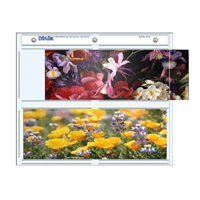 Print File Photo Pages Holds Four 3.5x10
