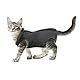 cobee Professioneller Genesungsanzug für Katzen bei Bauchwunden oder Hautkrankheiten, Kätzchen, Chirurgie, Genesungsanzug, E-Halsband-Alternative für Katzen und Hunde, nach Operationen (Größe L, Grau)