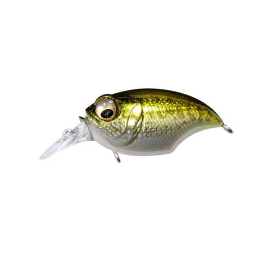 バス BASS ルアーセット (Megabass、Depsなど) Megabass - メガバス オンラインショップ