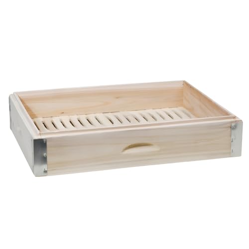 [Firmiarii]ZC Ɩp ^p^ |؍ސ 3i 40-60cm XeX NSdl  HX~[pi RpNg[\ 60×40cm DD