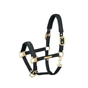 Eskadron Heritage halster glitter doublepin in antiek groen