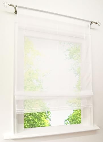 BAILEY JO 1er-Pack Raffrollo mit Tunnelzug Gardinen Transparent Voile Vorhang (BxH 80x155cm, weiß)