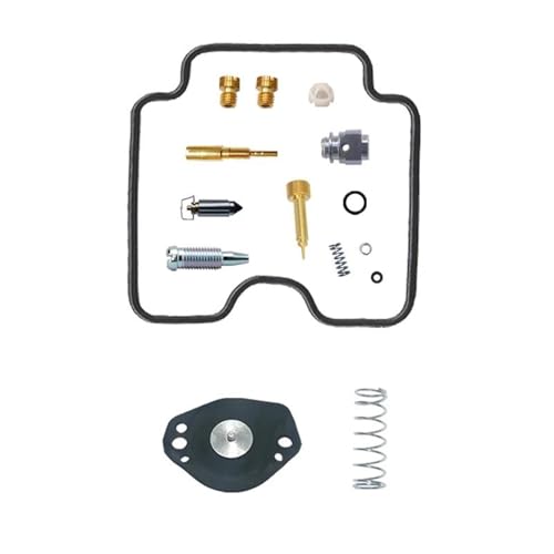 Kit réparation carburateur Yamaha Rhino 660 résout fuite moteur