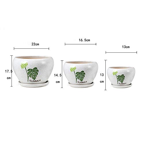 Pot de fleur en céramique contre l'excès d'eau des succulentes - 5