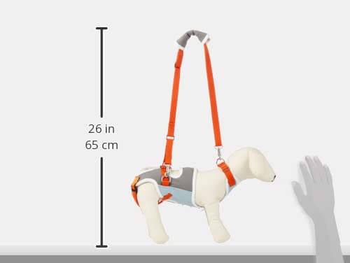 Amazon | 歩行補助ハーネスLaLaWalk 小型犬ダックス兼用 グレー