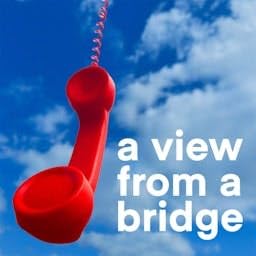 A View From A Bridge Podcast Por Joe Bloom arte de portada