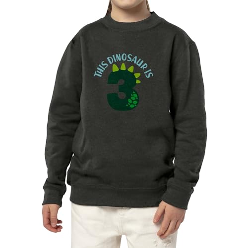 Sweatshirt enfant dinosaure pour anniversaire 3 ans - 3