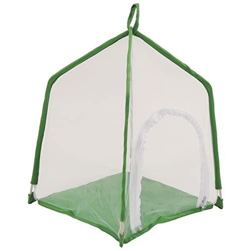 Insectenkooi, fijnmazige sierplanten Huisvormige insectenhabitatkooi voor bidsprinkhanen - Image 7