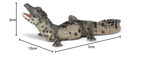 Papo - Tierfigur - Baby Krokodil, Erste Schritte in der Welt der Reptilien, Kinderspielzeug ab 3 Jahren - Sensibilisierung für die biologische Vielfalt des Wassers