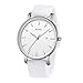 BUREI Men Wrist Watches Fashion Minimalist Analog Quartz Waterproof Watches for Men (White-Silver-White Band)