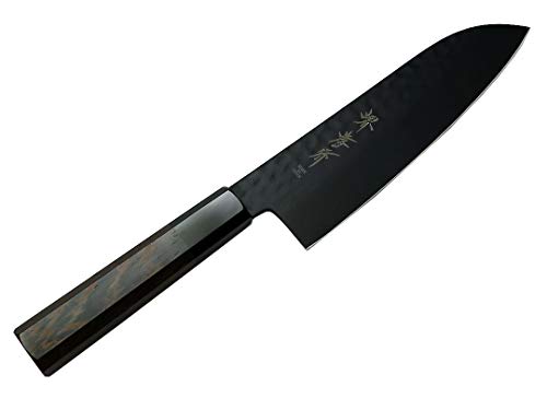 Fs(Sakai Takayuki) yezO u10ȖڃtbfHa