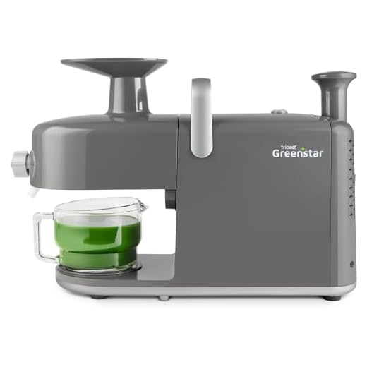 Tribest Greenstar 5 GS5 All Stainless Steel Twin Gear Cold Press Masticating Juicer with Easy Clean Housing, Screen Cleaning Tool and Glass Pitcher, Gray