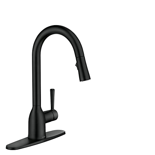 Moen Adler Matte Black