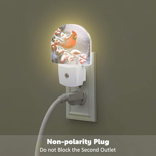 Image of Winter Red Cardinal Bird Night Light for Kids,Christmas Pine Tree Snow Cardinal Night Light Plug in with Dusk to Dawn Sensor,0.5w Energy Saving Nightlight for Hallway Stairway Kitchen Bedroom