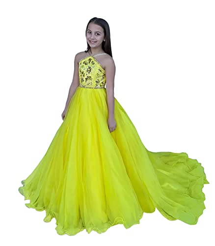 ZHengquan Flower Girl Dress Long A Line Beaded Sequins Sweep Train Organza Dress Pageant Ball Gowns for Kids