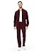 Rdruko Men's Tracksuits Sweatsuits 2 Piece Set Jogging Running Workout Athletic Sportswear Suits(Wine Red, US M)