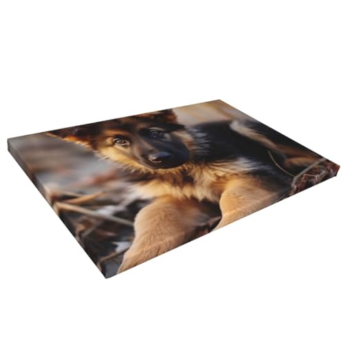 Toile chiot berger allemand 40x60 cm cadre suspendu salon