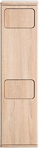 宮武製作所 2段プッシュダストボックス スリム2段タイプ 20Lx2対応 幅25x奥30x高さ96cm DB-960R (NT) ナチュラル