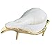 Religious Small Jal Shankh with Pure Brass Shankha Stand for Pooja & Home Décor – Natural Sankha for Spiritual/Ritual Use (Small Size, Pack of 1) Non-Sound Producing Shank