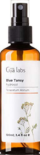 Gya Labs Blue Tansy Hydrosol for Skin Care and Stress Relief - Face Mist Spray to Relieve Oily Skin and Tension - 100 Pure, Natural and Unrefined Body Mist for Irritated and Dry Skin - 100 ml