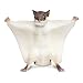 Safari Ltd. Flying Squirrel Figurine - Detailed 6.5