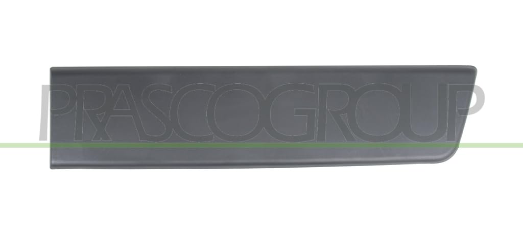 Regleta de protección para Puerta Trasera Izquierda Negra