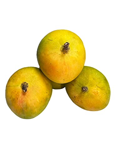 Image of Fresh Mango Alphonso South, 6 Pieces, (Approx.170g /Pc)