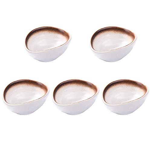 Ceramic Dipping Bowl Set of 5, 3.9'' Irregular Oval Small Sauce Dishes