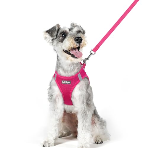Image of rabbitgoo Dog Harness Medium Sized and Leash Set, Step-in Puppy Pet Vest