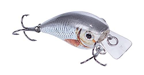 Barsch Wobbler Set mit 5 Crank-Baits für Raubfischangeln