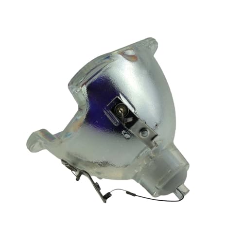 Lampe de projecteur BL-FS300C haute luminosité pour Optoma TX779P