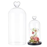 UNICRAFTALE Campana de cristal transparente 9 x 21 cm cúpula de vitrina antiguos coleccionables Campana de cristal decorativa con mango de corazón para plantas, cadenas de luces, decoración de mesa