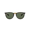 Ray-Ban RB4171 Erika Lunettes de soleil