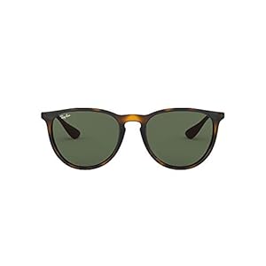 Ray-Ban RB4171 Erika Lunettes de soleil