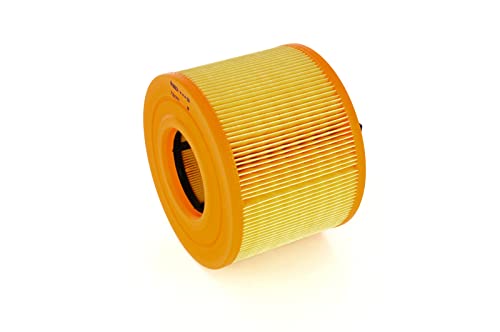 Bosch S0029, Filtro Aria