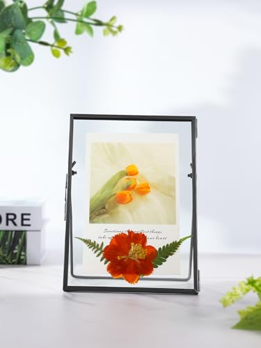 REDHUGO Gepresste Blumenrahmen, Glas-Schwebeframe zur Anzeige von getrockneten Pflanzenspezimenbildern… – Ansicht 3