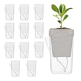 Maceta de riego automático, con indicador de nivel de agua, maceta hidropónica, macetas de interior, para esquejes, plántulas, violetas africanas, propagación Oxalis Hoyas