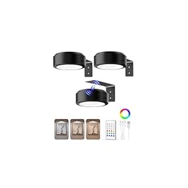 EZVALO Picture Lights...